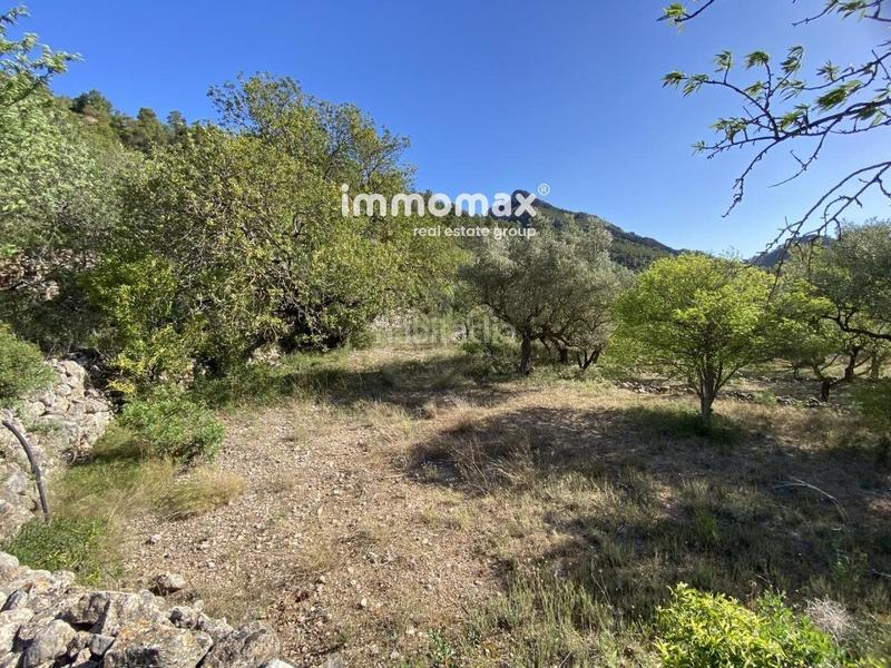 Foto f4177e51-73a1-4e38-9809-2312621dc161. Xalet a Paüls