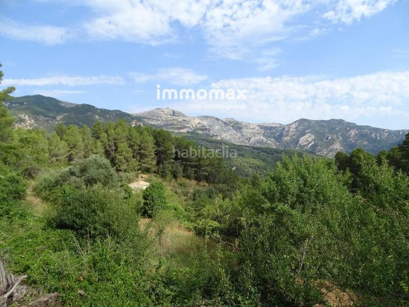 Foto 1faeec01-15df-4e5f-818b-4c23209a59b8. Wohngrundstück in Paüls