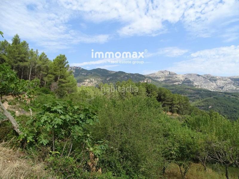 Foto 479be38b-a1ee-4893-9571-e77108825ec9. Wohngrundstück in Paüls