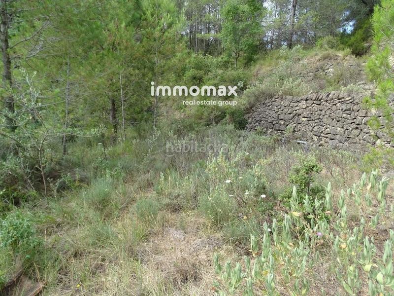 Foto 5d4b6240-9f37-4f5e-b9c3-64b26aef5118. Wohngrundstück in Paüls