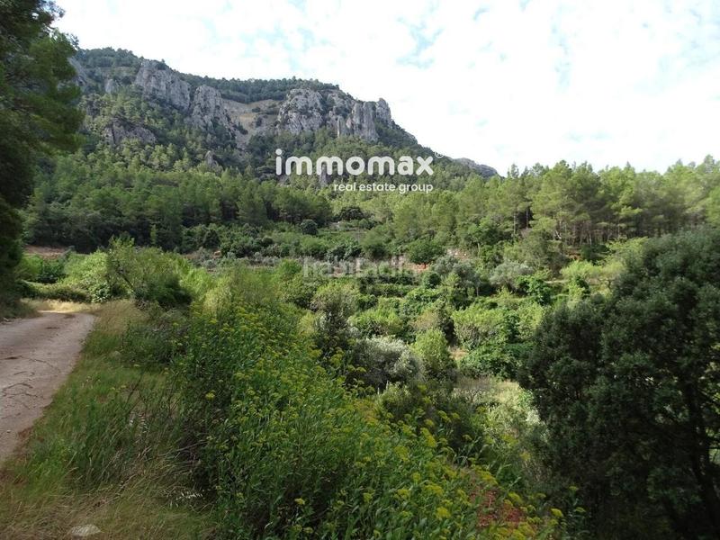 Foto 5e036358-21ff-46a3-bf7c-178e554b3884. Wohngrundstück in Paüls