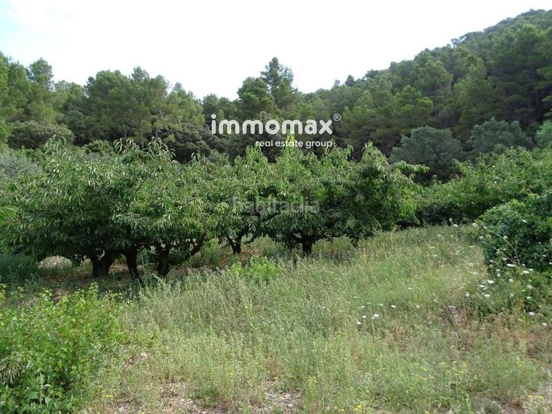 Foto 5f0eca6e-1af2-41cd-bd78-fb759ebd95b3. Wohngrundstück in Paüls