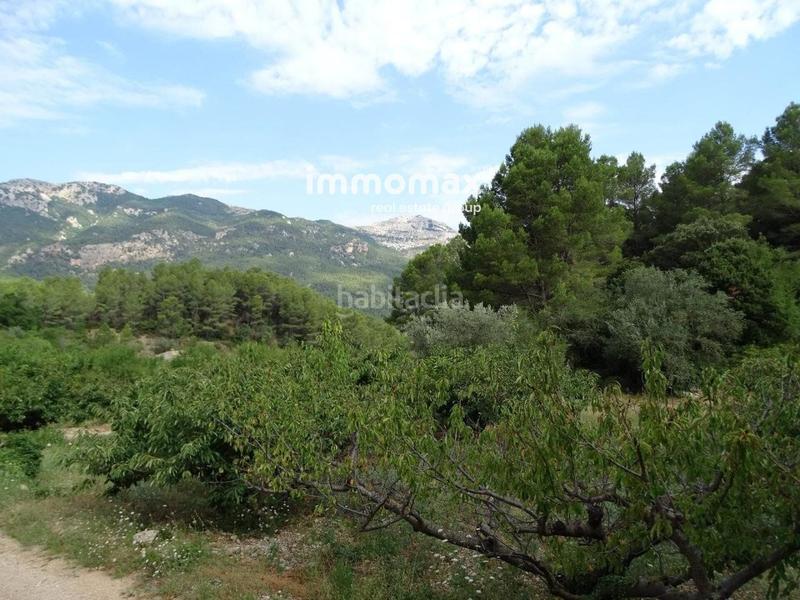 Foto 897268b5-6042-4294-a7df-e83481a9786c. Wohngrundstück in Paüls