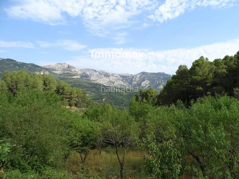 Foto 8bf4c011-ffde-4f43-bd77-d33b5d06aa10. Wohngrundstück in Paüls