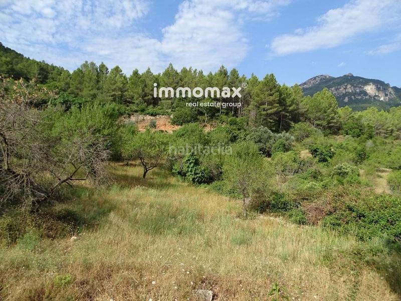 Foto 8e40d55d-8f23-424e-bbb9-6f917c1170c8. Wohngrundstück in Paüls