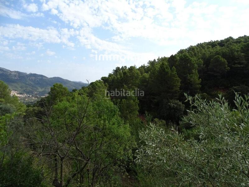 Foto 951ea98c-5926-467d-9934-7417bd1120c3. Wohngrundstück in Paüls