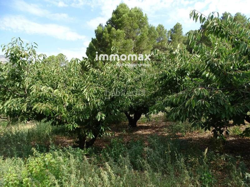 Foto 96ca2323-6658-4232-b808-ea520212b77f. Wohngrundstück in Paüls