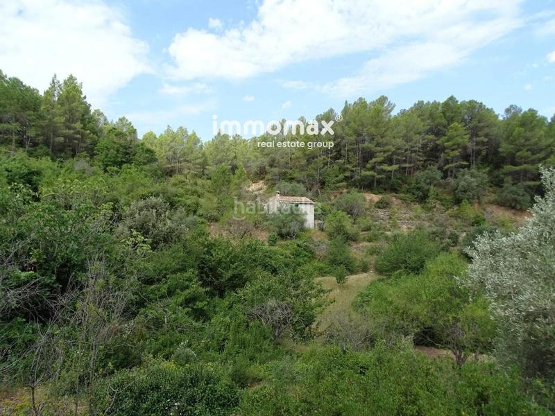 Foto b0e0e346-c4b5-4aec-9503-e23ce6c288d2. Wohngrundstück in Paüls