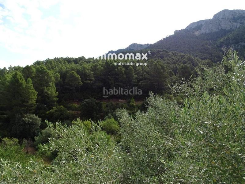 Foto c191a77b-3530-4ad0-8f62-b6cba5419fc6. Wohngrundstück in Paüls