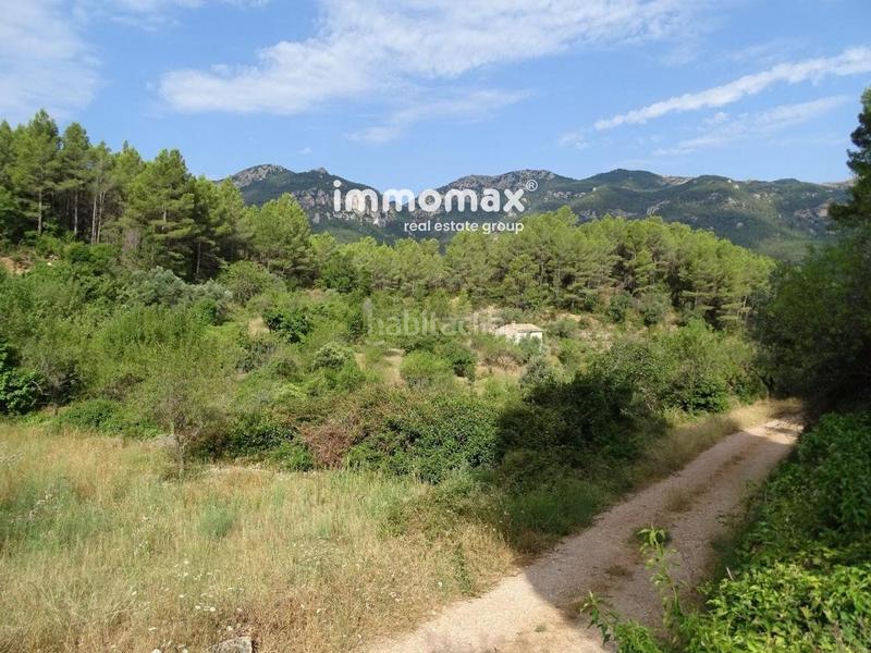 Foto cda31c19-5cb6-46b9-9917-9da7e951e51e. Wohngrundstück in Paüls