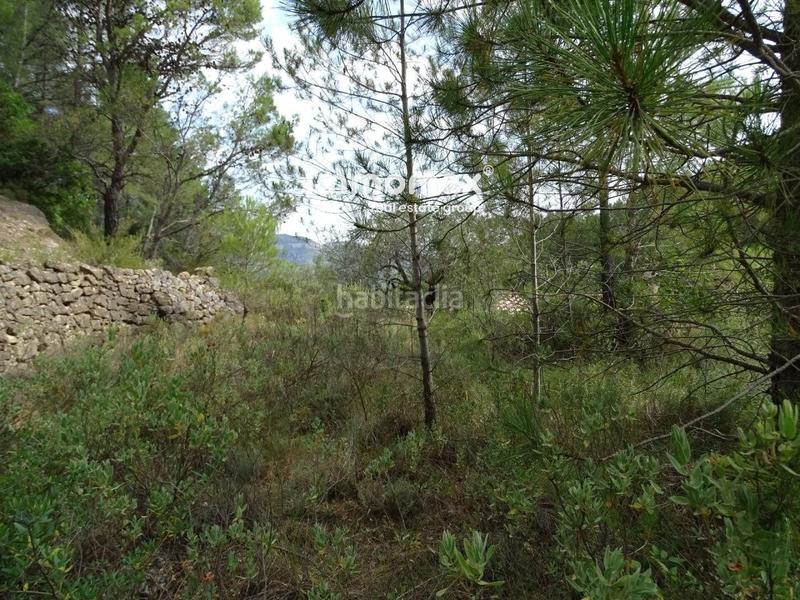 Foto e310e6ea-f7de-461e-b7e1-639d777f20ec. Wohngrundstück in Paüls