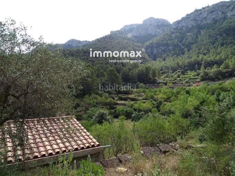 Foto e6a8b13a-5bed-4067-a6af-46e7581fb1ad. Wohngrundstück in Paüls