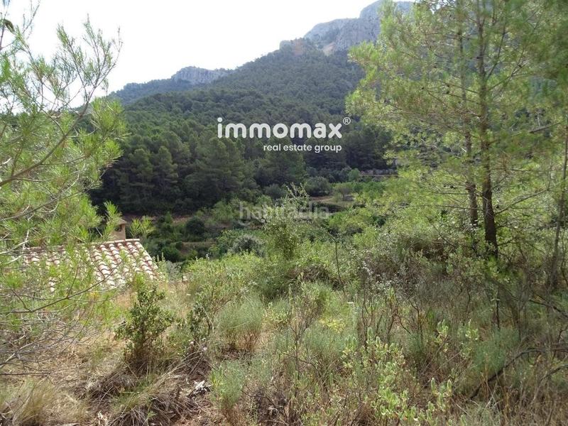 Foto eada2fbb-07f1-459f-8b84-e59b34fb9147. Wohngrundstück in Paüls