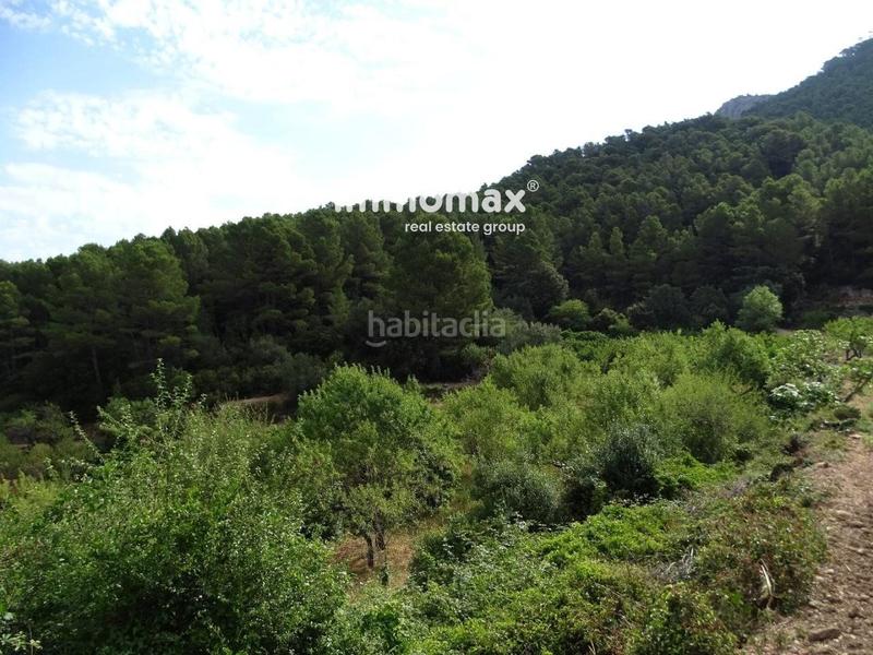 Foto eb9f03e9-977a-427d-844f-9861f6da82a6. Wohngrundstück in Paüls