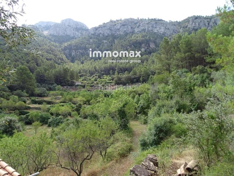 Foto f3529edc-36ad-4270-88e2-e5b5ef6c4c2d. Wohngrundstück in Paüls