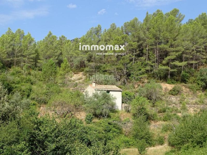 Foto fe22c770-24ef-4cff-ad0f-4c460e7de61a. Wohngrundstück in Paüls