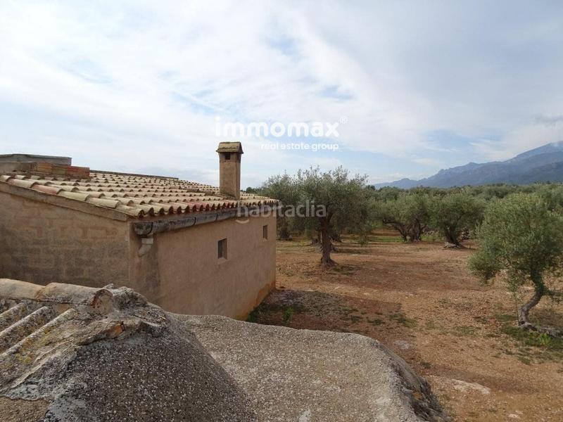 Foto 1e281d0b-63ad-4ab9-9a25-95a0ac26429c. Wohngrundstück in Xerta