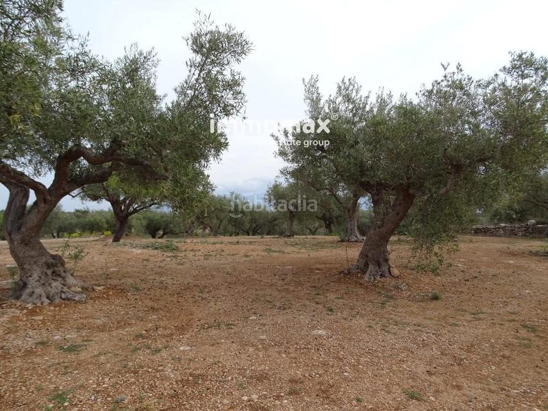 Foto 1fd88995-abbf-4c31-910f-bbc3aaf85671. Wohngrundstück in Xerta