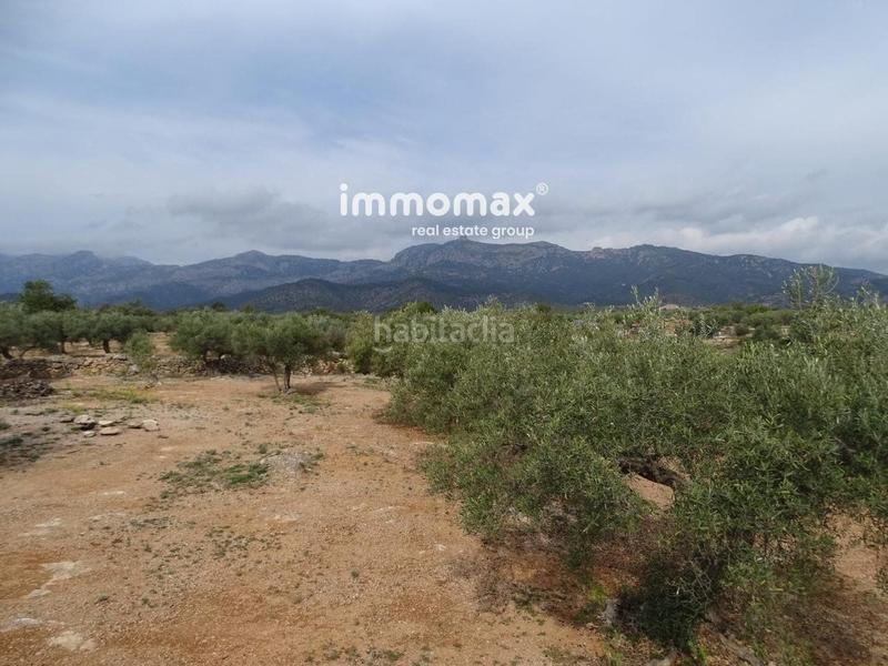 Foto 44cfeee9-4cb0-47b0-b547-d84c2e7a73b5. Wohngrundstück in Xerta