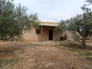 Residential Plot  Tareioles. Finca en venta en xerta con casita