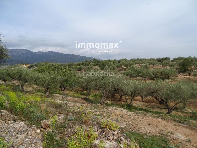 Foto 6253e5d2-ea8d-49fb-a26e-79e9e38b9960. Wohngrundstück in Xerta