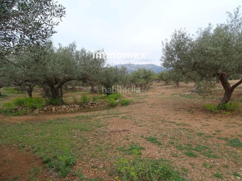 Foto 6b704a1b-6224-43fb-ad8c-3fb498e538bb. Wohngrundstück in Xerta