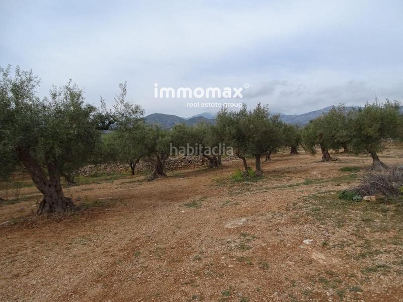 Foto 7080bbd0-1cc0-44aa-9494-051e807035cf. Wohngrundstück in Xerta