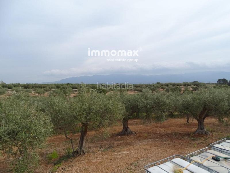 Foto 800ca470-a630-469a-ab7a-55f8ba8e9922. Wohngrundstück in Xerta