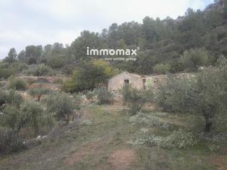 Residential Plot  Carretera. Benifallet   finca en venta de olivos y masía