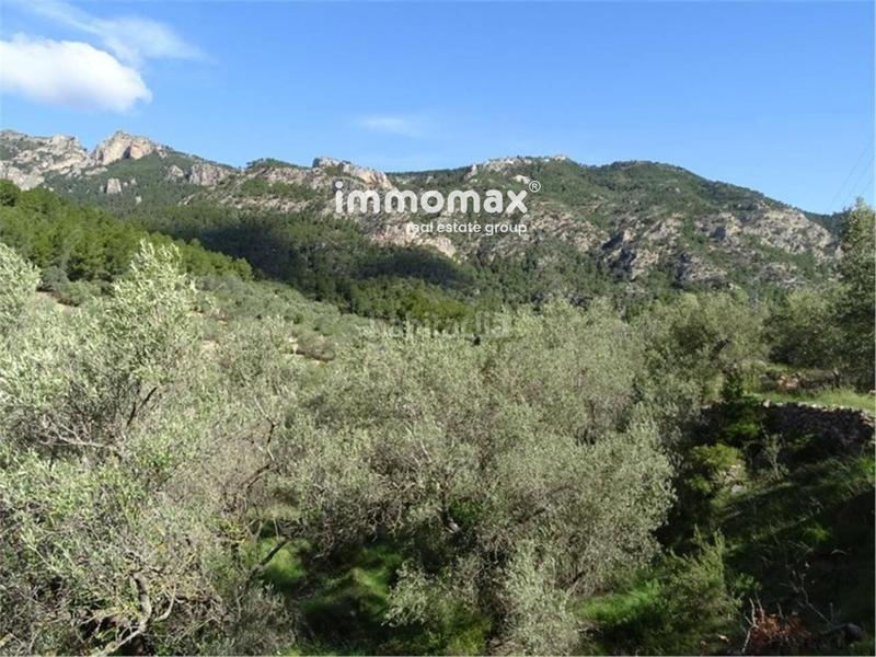 Foto 00a76e9e-bdab-47cb-add8-5c342c1f3952. Wohngrundstück in Paüls