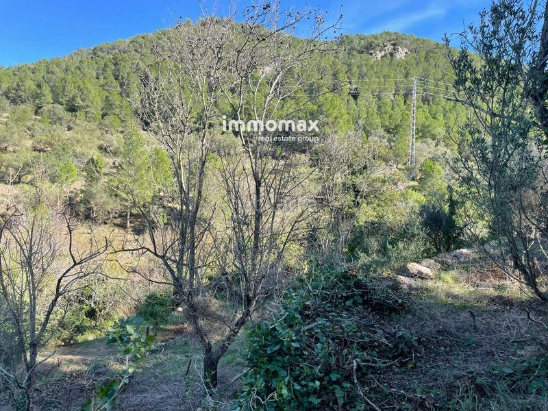 Foto 09b135f3-ae4c-4ecb-8ae2-df444d32be8d. Wohngrundstück in Paüls