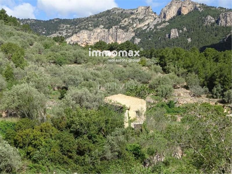 Foto 0f2a1775-13f4-4a47-9d87-105e4f4caa0c. Wohngrundstück in Paüls