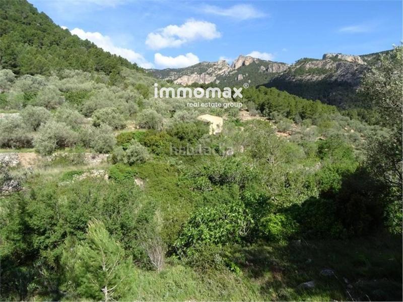 Foto 1a5a3936-478b-49d8-9a6a-a7d6fc1fa0d7. Wohngrundstück in Paüls