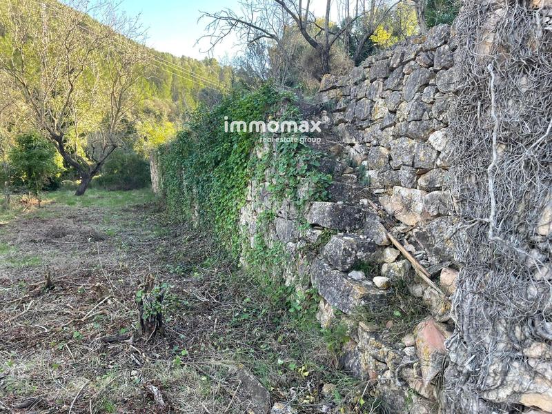 Foto 1f79d534-66e3-422b-b9a4-fce87a6a8837. Wohngrundstück in Paüls