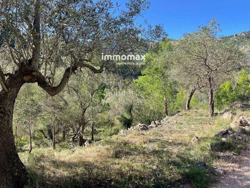 Foto 24265fb7-6954-4681-90bb-1fbc05f0f43c. Wohngrundstück in Paüls