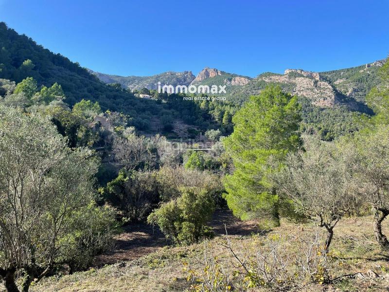 Foto 3dd31266-23f0-411a-8a5b-17d26e360c0d. Wohngrundstück in Paüls