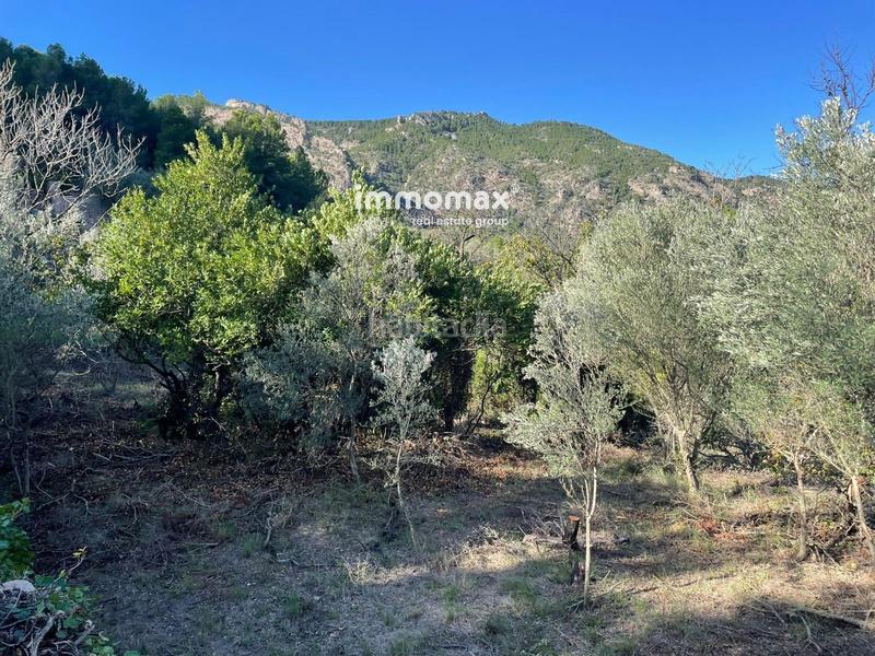 Foto 48bb5ffd-2654-4ea2-afdb-79f6584735e1. Wohngrundstück in Paüls