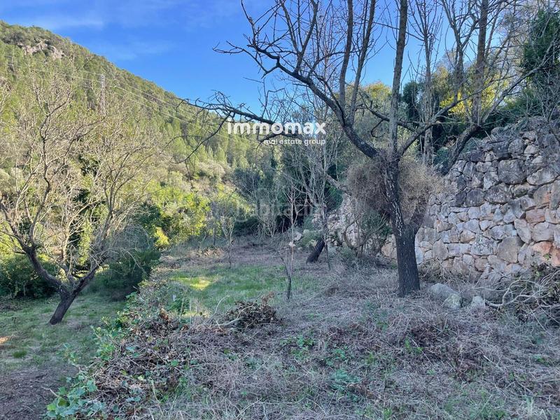 Foto 4f21aad4-33a2-4650-aa9a-f8507e6590c7. Wohngrundstück in Paüls