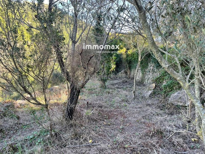 Foto 6b291391-ffe4-4321-bb96-77625e009e38. Wohngrundstück in Paüls