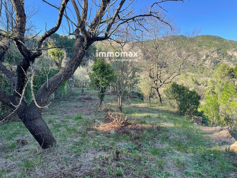 Foto 6b71f55c-b50b-403d-be34-01bdf0f9e8be. Wohngrundstück in Paüls