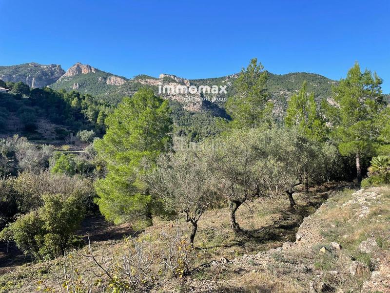 Foto 7c136537-1e22-4c44-87c3-41067a1cf4c0. Wohngrundstück in Paüls