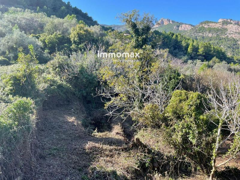 Foto 825f6b8c-45eb-46f5-98d4-06271602008a. Wohngrundstück in Paüls