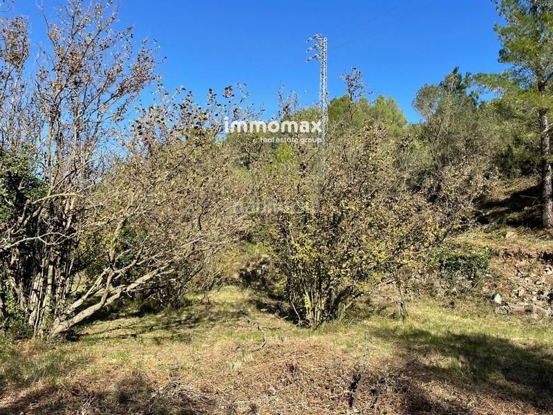 Foto 92776595-7e2e-42cc-bd90-36dbef427de1. Wohngrundstück in Paüls