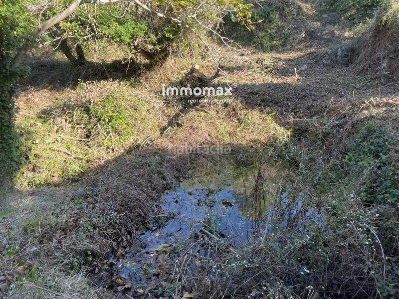 Foto a98d819a-0a42-4ef9-bab4-c9cbf65f6f65. Wohngrundstück in Paüls