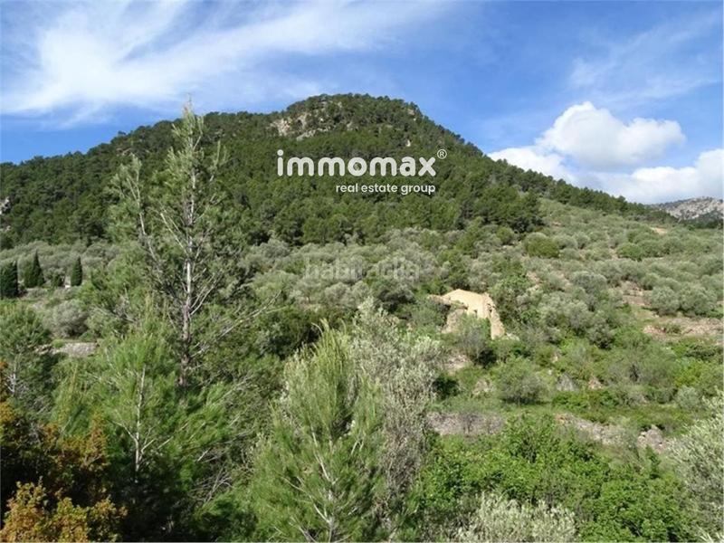 Foto b00a8287-eedc-4bd1-a1ac-9290aefe9750. Wohngrundstück in Paüls