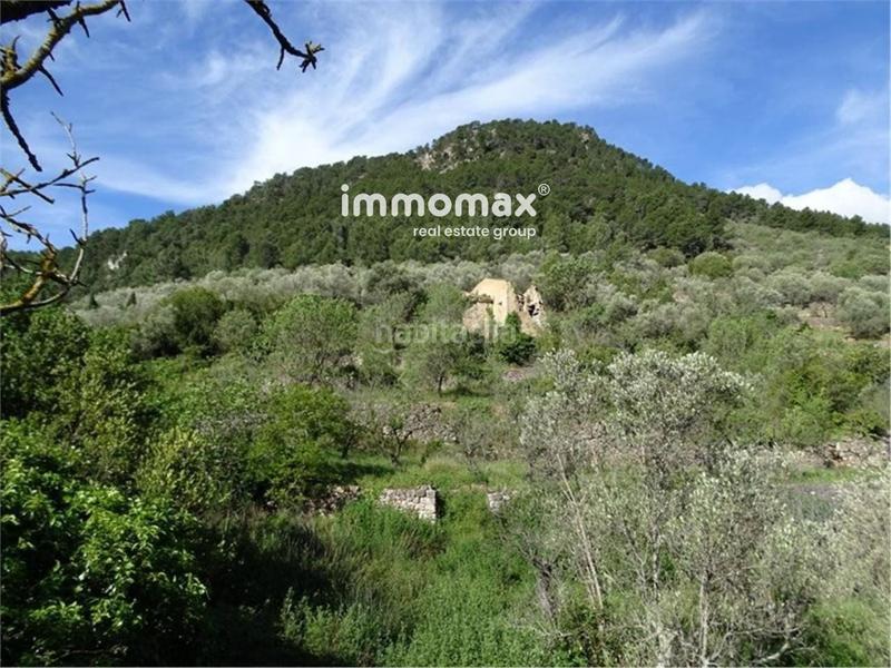 Foto c11fb8d1-16d8-4263-81b6-cb6534cbed24. Wohngrundstück in Paüls