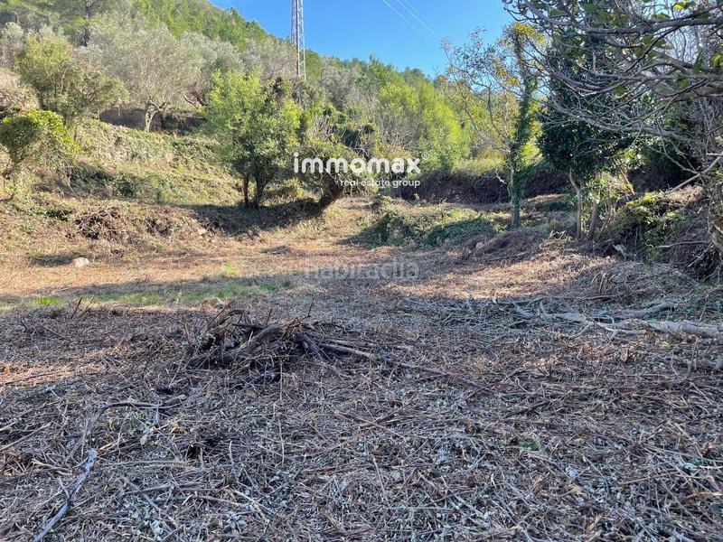 Foto c5d143ca-7594-4159-b829-85320e654091. Wohngrundstück in Paüls