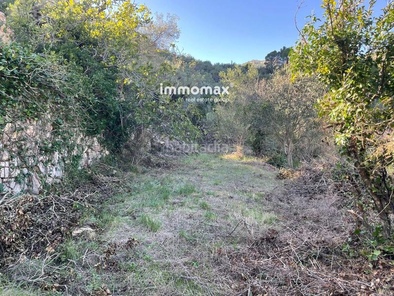 Foto d2fc08b0-cbc6-4656-8ad6-4f2ee23bba44. Wohngrundstück in Paüls