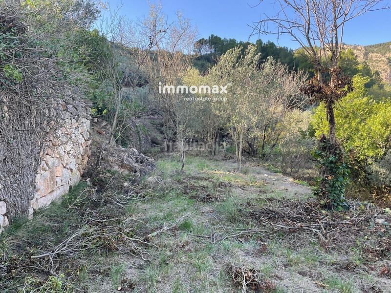 Foto da060183-0b88-4013-bfbc-29fd053dad48. Wohngrundstück in Paüls