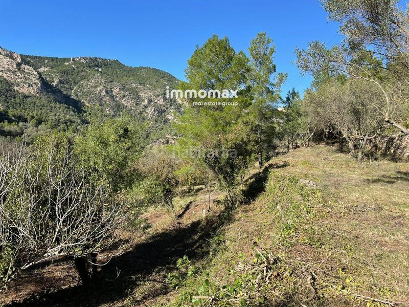 Foto e1b3ca8c-7668-4637-89fa-c05588c61415. Wohngrundstück in Paüls